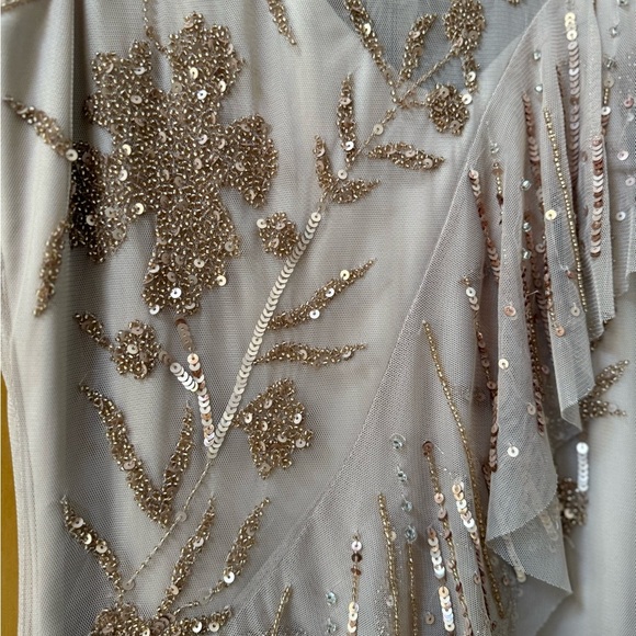 Parker Black label Florence beaded dress in Rosaline champagne nude color - Picture 5 of 10